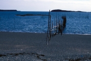 Jasper Beach (Figure 7)