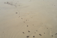 Jurmala beach. Sand ripples