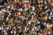 Glass Beach from Ft. Bragg, Mendocino County, California