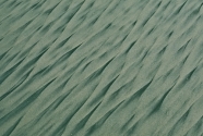 Concentration of black sand in rill marks on beach face, Santa Cruz, California