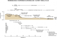 Generalized topographic profile of two habitat types