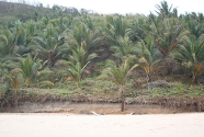 Nihiwatu Beach, Sumba, Indonesia