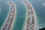 Fronds on the Palm Jumeirah.