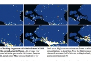 fig3-green-tides