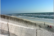 Dune fences. Cape San Blas beach.