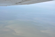 Near Chandeleur Island