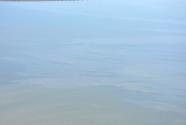 Near Chandeleur Island