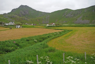 Figure-15-Farms-across-the-road-from-Haukland-Beach