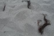 Figure-6-Uttakleiv-Beach-sand