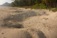 ngapali-beach-mined-holes