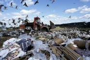 Compost Biodegradable Garbage.