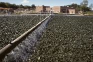 Improve Wastewater Treatment Systems.