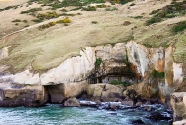 Inlet, Tunnel Beach, near Dunedin