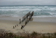 Old wodden groyne