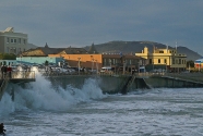 Surf\'s up Dunedin.