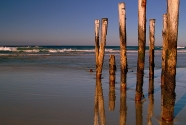 Wooden poles, St Clair Beach.