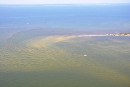 Continued Gulf Oil Spill Coverage by PSDS