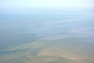 Continued Gulf Oil Spill Coverage by PSDS