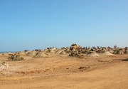sand-from-surf-zone-(wet)-Morocco