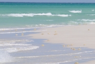 Qansaliyah Beach, Socotra, Yemen