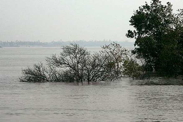 disappearing island