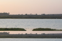 Rising Seas