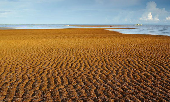 Sei Jawi Beach Indonesia