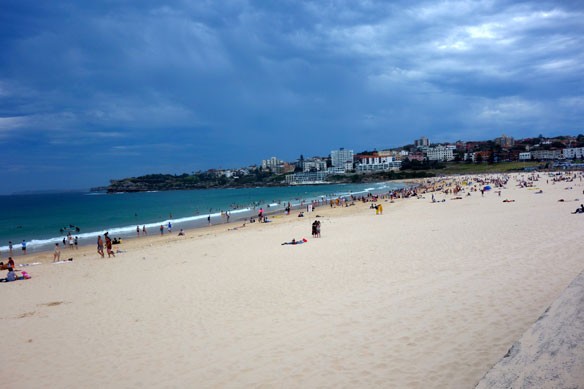 bondi-beach-coastal-care