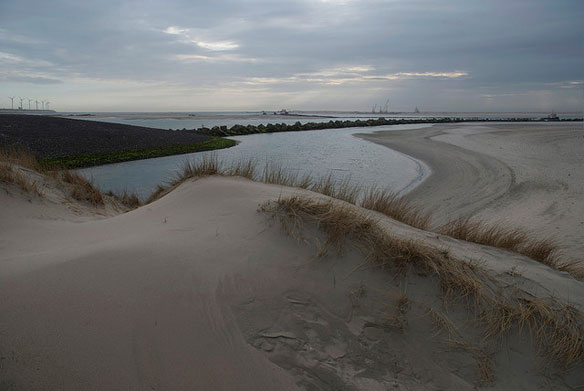 Rotterdam Land Reclamation