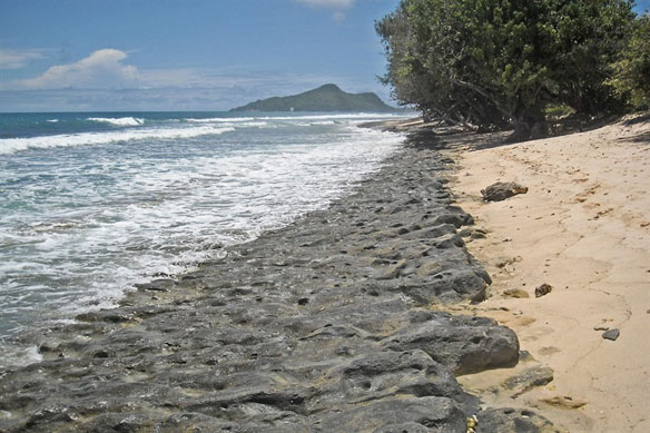 seychelles-stone-waterline