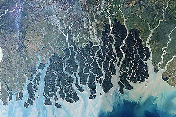 sundarbans-map