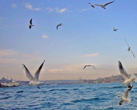 bosphorus