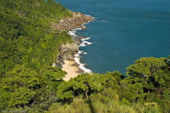 atlantic-forest-brazil