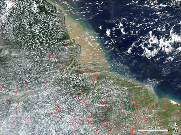 deforestation brazil coastal atlantic forest