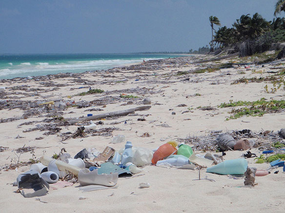 meso-reef-shores-mexico