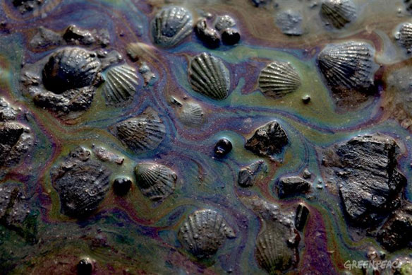 oil-spill-china