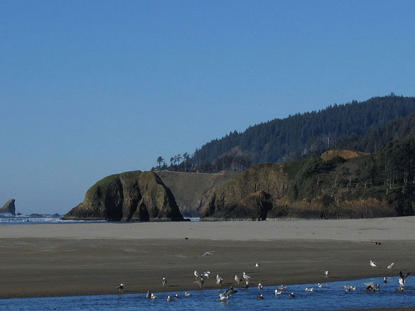 cannon-beach-oregon