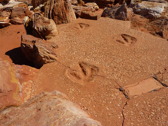 dinosaur footprints