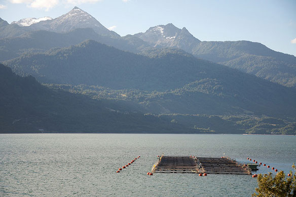 chile-fish-farm