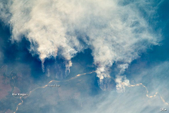 brazil deforestation