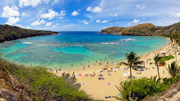 hawaii reef