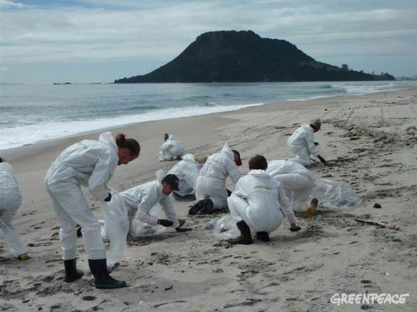 new-zealand-oil-spill