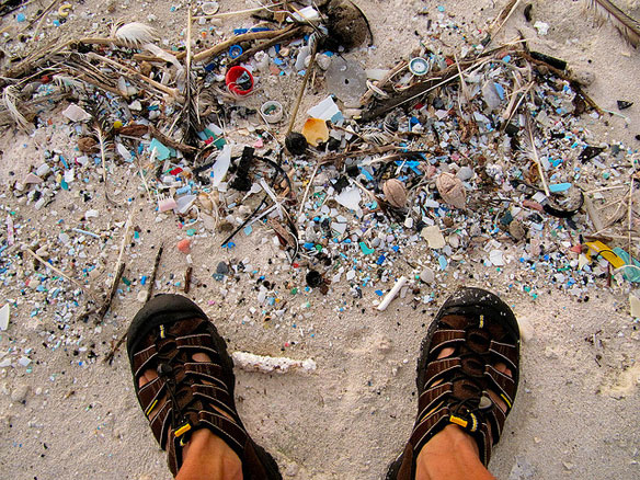 plastic-pollution-shores