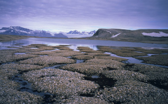 permafrost-nasa