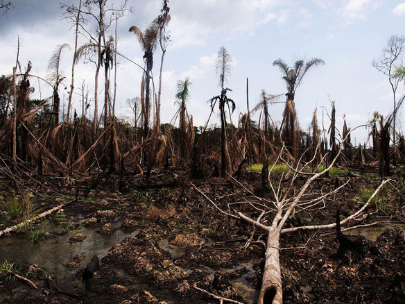 Niger Delta Oil Devastation