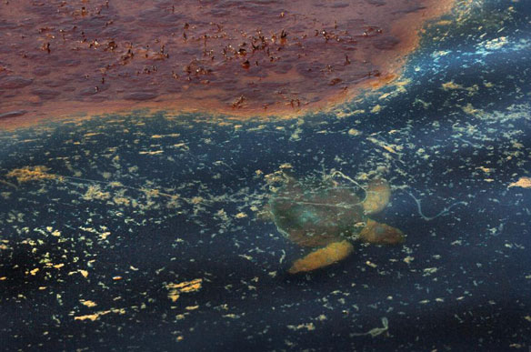 oil-pollution-gulf-noaa