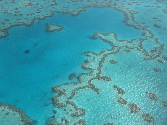 coeur-barriere-corail-australie