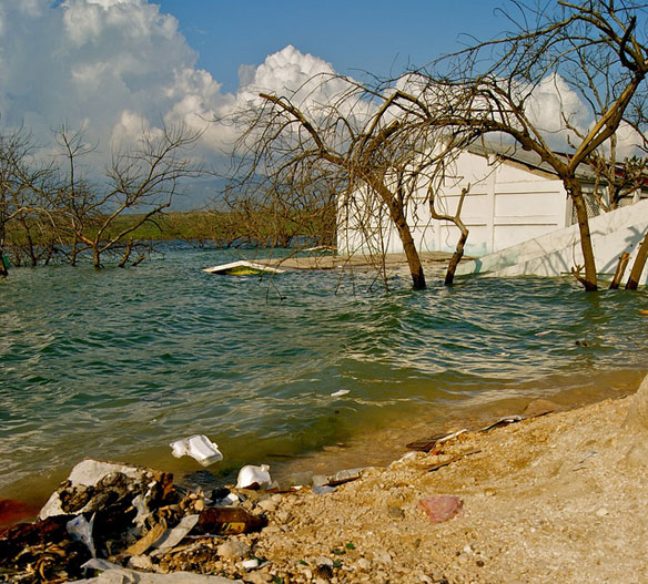 haiti erosion deforestation