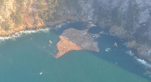 japan-tsunami-debris