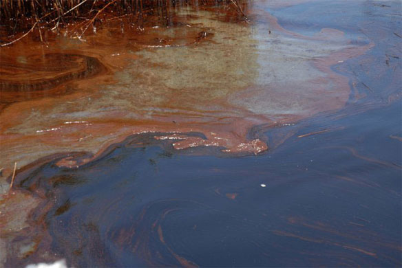 oiled-marsh-noaa